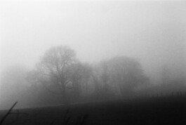  Analog Impression Photography